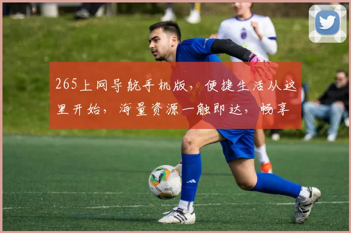 265上网导航手机版，便捷生活从这里开始，海量资源一触即达，畅享网络世界