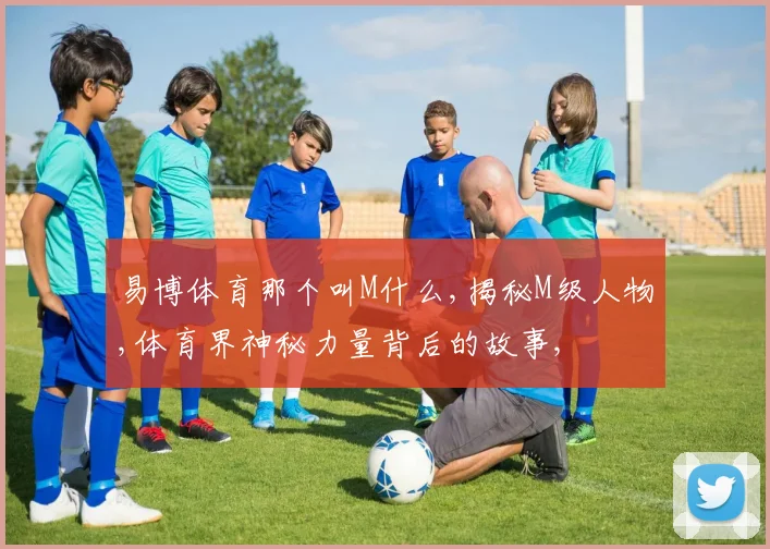 易博体育那个叫M什么,揭秘M级人物,体育界神秘力量背后的故事,